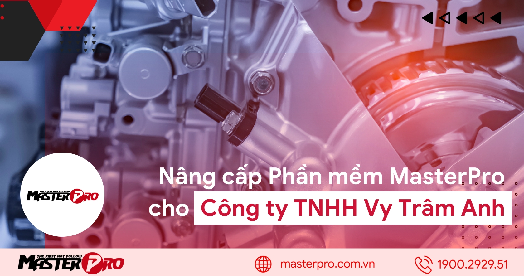 Nâng cấp phần mềm MasterPro cho Công Ty TNHH Xuất Nhập Khẩu Vy Trâm Anh